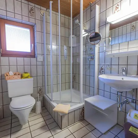 Danler Penzion Telfes im Stubai