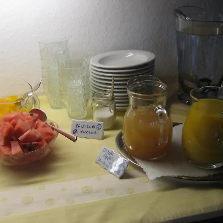 Danler Guest house
