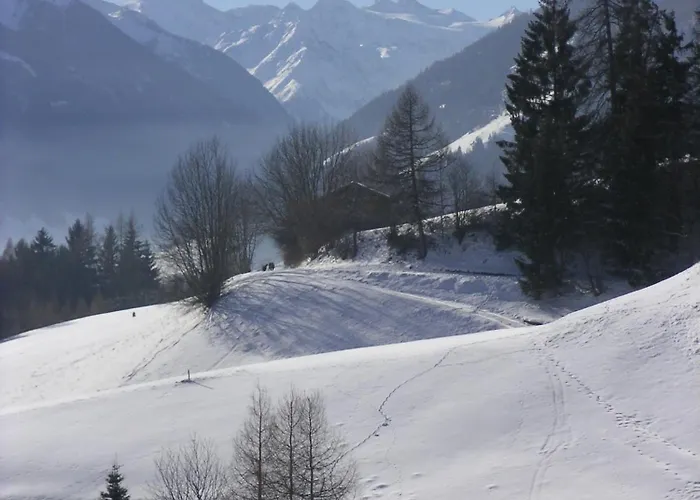 Danler Gasthof Telfes im Stubai